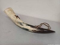 Curved horn side view showing color gradient and leather strap