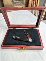Knife resting open in wood display box showing overall presentation