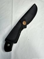Knife inside nylon sheath
