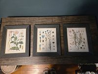 overview of all three framed prints on tabletop