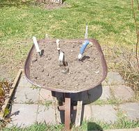 Top view of metal wheelbarrow planter, soil, and hand trowels