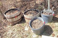 all planters, cages and metal stand grouped outdoors
