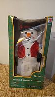 Front view of boxed animated snowman