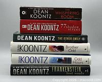 Stack of six Dean Koontz books showing titles and spines