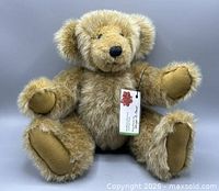 Full view seated teddy bear with hang tag visible