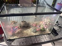Front angled view of aquarium showing tank, gravel, plants, hideaway