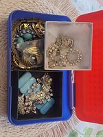 View of open plastic box showing assorted jewelry inside small boxes
