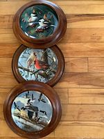 All three framed bird plates vertically aligned