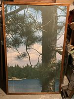 Full view of framed print showing entire image and wood frame