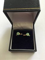 Front view of both enamel snail earrings in presentation box