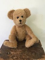 Full front view of teddy bear seated on wooden surface