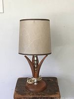 Full view of teak lamp with shade