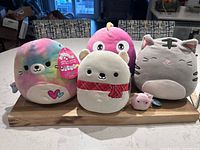 Group shot of all five Squishmallows on wooden board