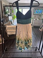 Front view of dress on hanger: black bodice, teal waistband, white floral skirt