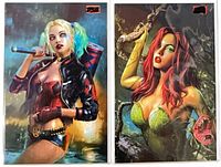 Front view of both bagged comics side by side