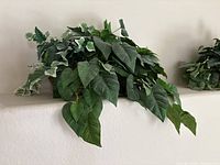 Overall view of artificial trailing plant with mixed foliage in brown basket overhanging ledge