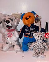 All three Ty Beanie Babies grouped together