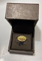 Pin displayed inside Birks box