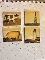 Group shot of all four square canvas prints: cow, pig, two lighthouses