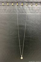 Full view of 20 in sterling silver necklace with pendant and clasp