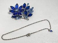 Brooch and anklet full view