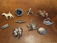 Group shot of all ten brooches
