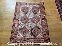 Full view of rug showing overall design and size