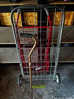 Front view of nested shopping carts and cane