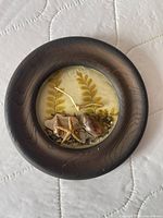 Front view of round lucite wall art showing shells, starfish, fern, wood frame