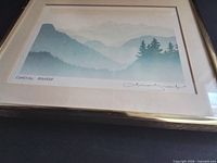 angled view of entire framed serigraph