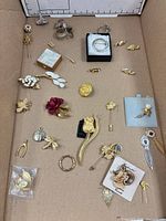 All items laid out in box showing quantity and variety of pins, brooches, rings