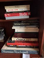 Overall view of shelf with 12 hardcover books in two stacks