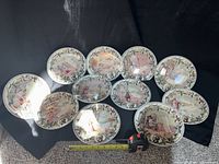 Group of 11 matching decorative plates arranged on black backdrop with measuring tape for scale