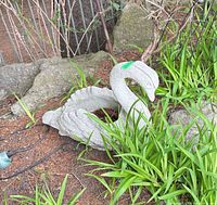 Full view of concrete swan planter among plants