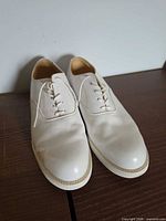 top view of both shoes showing laces, toe condition, minor creasing