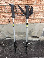 Full view of both trekking poles showing shafts, handles, wrist straps