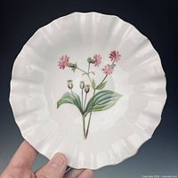 Front view of dish showing botanical motif and ruffled gilt rim