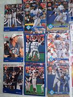 Front view of nine sample cards in protective sheet