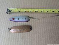 Two spoon lures with tape measure for scale
