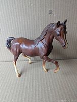 Left side view showing chestnut color, white socks, overall condition