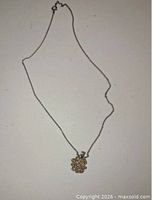 Full view of necklace showing chain and pendant