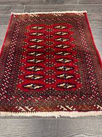Full view of rug on floor showing design and fringe