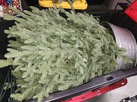 Tree branches inside rolling tote with metal tree skirt visible