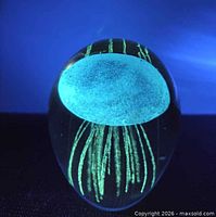 Paperweight under UV light showing green fluorescence