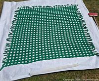 Full view of square green crochet throw with fringe