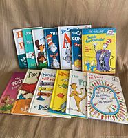Group shot of all 13 Dr. Seuss hardcover books standing in two rows