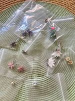 Overall view of assorted earrings and pin in separate plastic bags