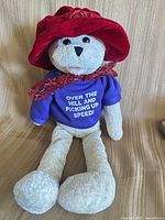 Front view showing bear with hat, sweatshirt text, scarf