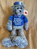 Front view of gray plush bear wearing accessories and printed shirt