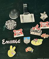 Front view showing all 14 pins and brooches